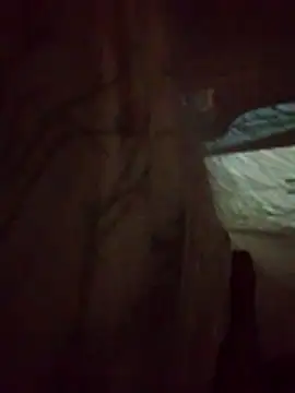 denca28 online show from March 2026 04:07:02 AM