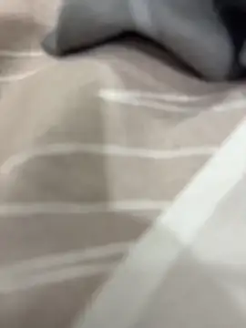 rajapo 1 online show from November 2025 03:09:02 AM