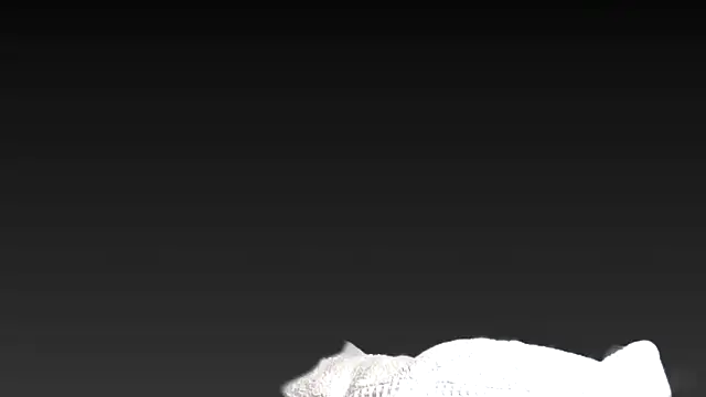 juanpalmox online show from November 2025 08:31:01 PM