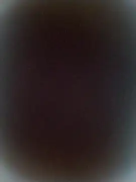 bigdoog8 online show from May 2026 12:47:01 AM