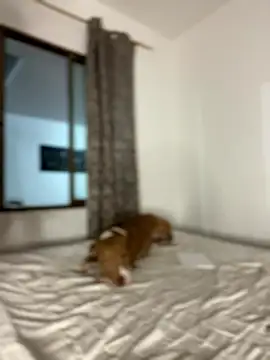 CurlyGirl 1 online show from January 2026 11:19:01 PM