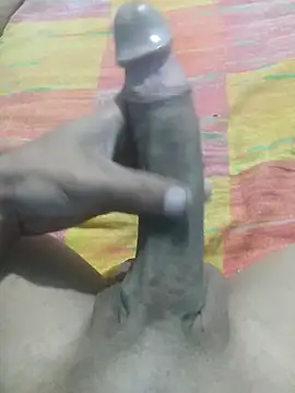 dotado Al online show from October 2025 03:39:01 AM