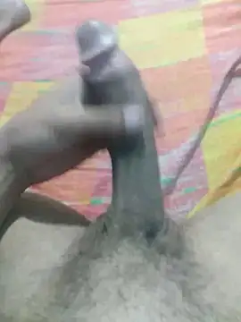 dotado Al online show from October 2025 03:30:01 AM