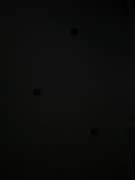Maxthekid online show from January 2025 10:19:01 PM