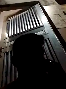 fieltoprj1 online show from December 2024 11:39:01 PM