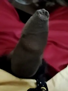 Snapshot of Ashish02345 chatting on December 2024 06:44:02 PM Ashish02345 online show from December 2024 06:44:02 PM