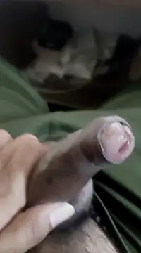 Snapshot of Ashish02345 chatting on March 2025 07:55:02 PM Ashish02345 online show from March 2025 07:55:02 PM