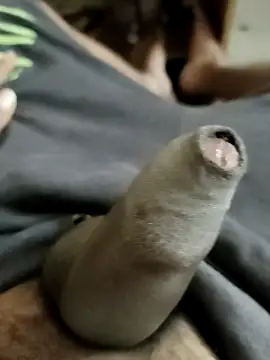 Snapshot of Ashish02345 chatting on March 2025 10:02:01 AM Ashish02345 online show from March 2025 10:02:01 AM