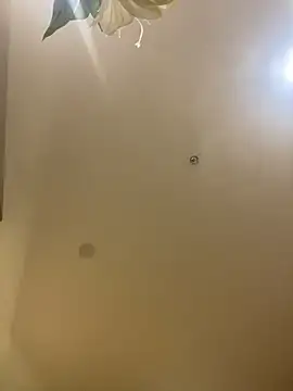 MEOW MEO online show from December 2025 04:10:02 PM