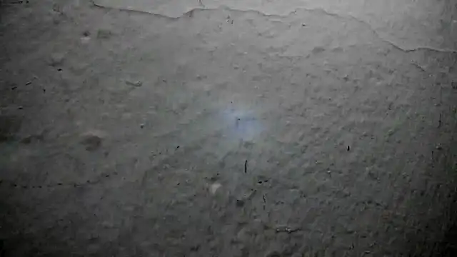 Snapshot of Tom_Krakow chatting on May 2026 06:15:02 PM Tom Krakow online show from May 2026 06:15:02 PM