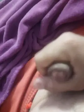 dredre1069 online show from February 2026 03:05:01 AM