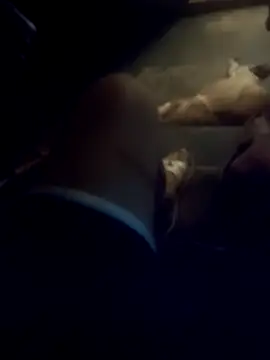 dredre1069 online show from February 2026 02:46:02 AM