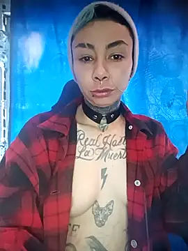 real fenix online show from December 2025 01:49:02 PM