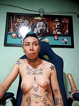 real fenix online show from November 2025 08:24:01 PM