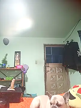 real fenix online show from September 2025 07:14:01 PM