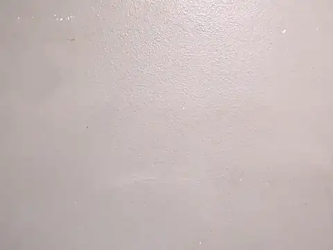 Dogz n daugthers online show from December 2024 11:55:01 AM