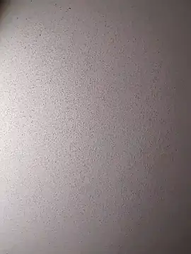 Dogz n daugthers online show from December 2024 07:48:02 PM