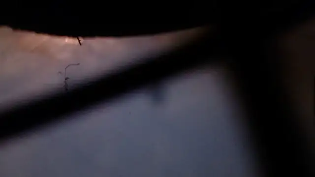 Snapshot of Cordt30 chatting on February 2026 04:40:01 PM Cordt30 online show from February 2026 04:40:01 PM