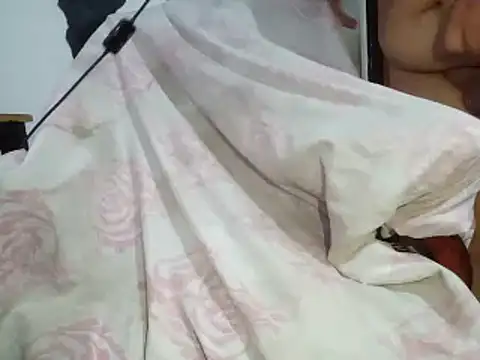 aritolapiz online show from November 2025 07:40:02 AM