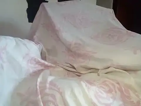 Snapshot of aritolapiz chatting on February 2026 09:12:02 PM aritolapiz online show from February 2026 09:12:02 PM