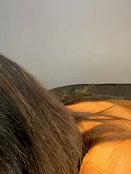 Amandious online show from April 2026 04:13:02 AM