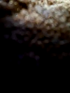 Snapshot of Exhibitionist1508 chatting on September 2025 03:38:01 AM Exhibitionist1508 online show from September 2025 03:38:01 AM