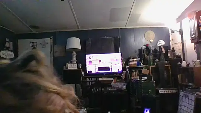 stormynight1 online show from October 2025 08:59:01 AM