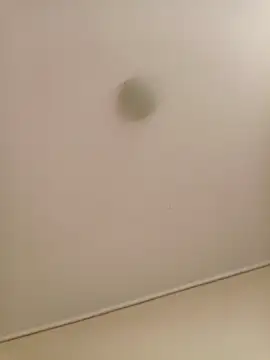 zafka 9 online show from April 2026 08:11:01 PM