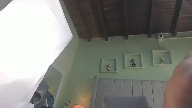 patty m online show from May 2026 12:04:02 PM