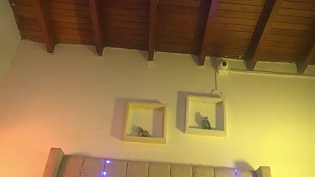 patty m online show from December 2025 12:00:02 PM