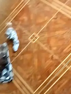 socrathes online show from February 2026 12:27:01 PM