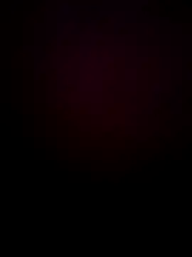 Dmitri Aksnes online show from December 2024 03:42:01 PM