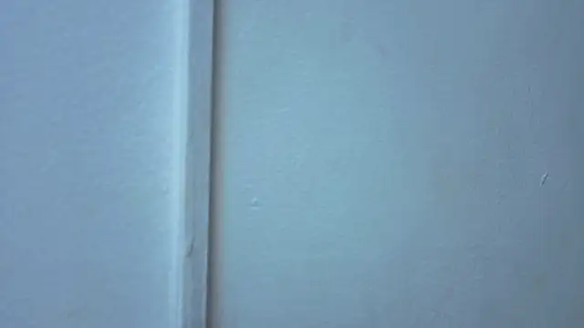 mariiana murillo01 online show from June 2026 04:29:02 AM