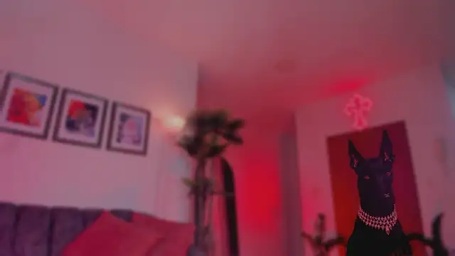 Taylor  foxxx online show from March 2026 01:09:02 AM