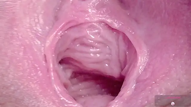 Alu ryu online show from March 2026 10:49:02 PM