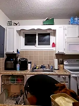 Dixiefaye Pika online show from February 2025 04:02:02 AM