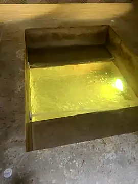  Miguel100 online show from November 2025 07:40:02 PM