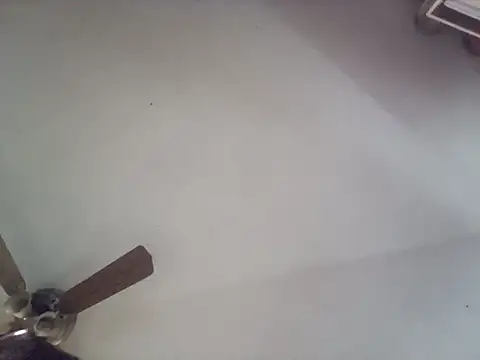 SexyB214 online show from October 2025 11:52:01 PM