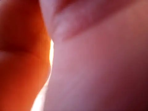 braza66 online show from April 2026 03:29:02 PM