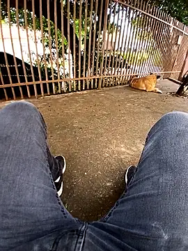 braza66 online show from April 2026 05:05:01 PM