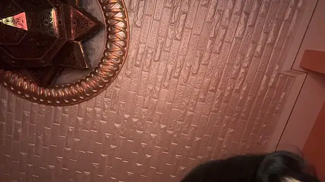 Snapshot of ORLA86 chatting on March 2025 10:56:01 PM ORLA86 online show from March 2025 10:56:01 PM