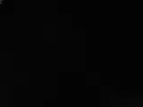 IMAGatMARK online show from March 2025 08:37:02 PM