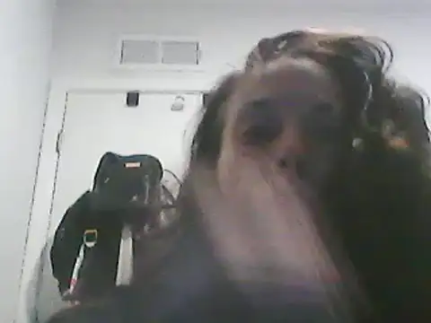 Snapshot of gorgeous11 chatting on March 2025 01:54:01 PM gorgeous11 online show from March 2025 01:54:01 PM