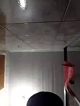 Adee21e online show from November 2025 08:46:01 PM