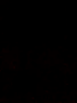 Snapshot of Adee21e chatting on October 2025 06:53:01 PM Adee21e online show from October 2025 06:53:01 PM