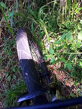 Adee21e online show from November 2025 04:39:02 PM