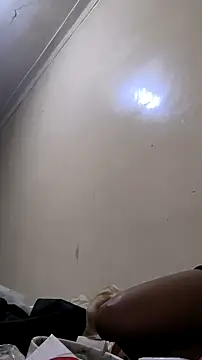 trans511 online show from November 2025 05:12:01 PM