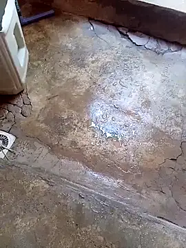 rau 4455 online show from November 2025 10:08:02 AM