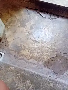 rau 4455 online show from October 2025 09:53:02 AM