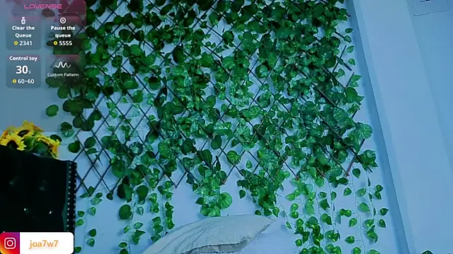 Levii Ackermann online show from January 2026 02:20:01 PM